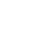video-play-icon