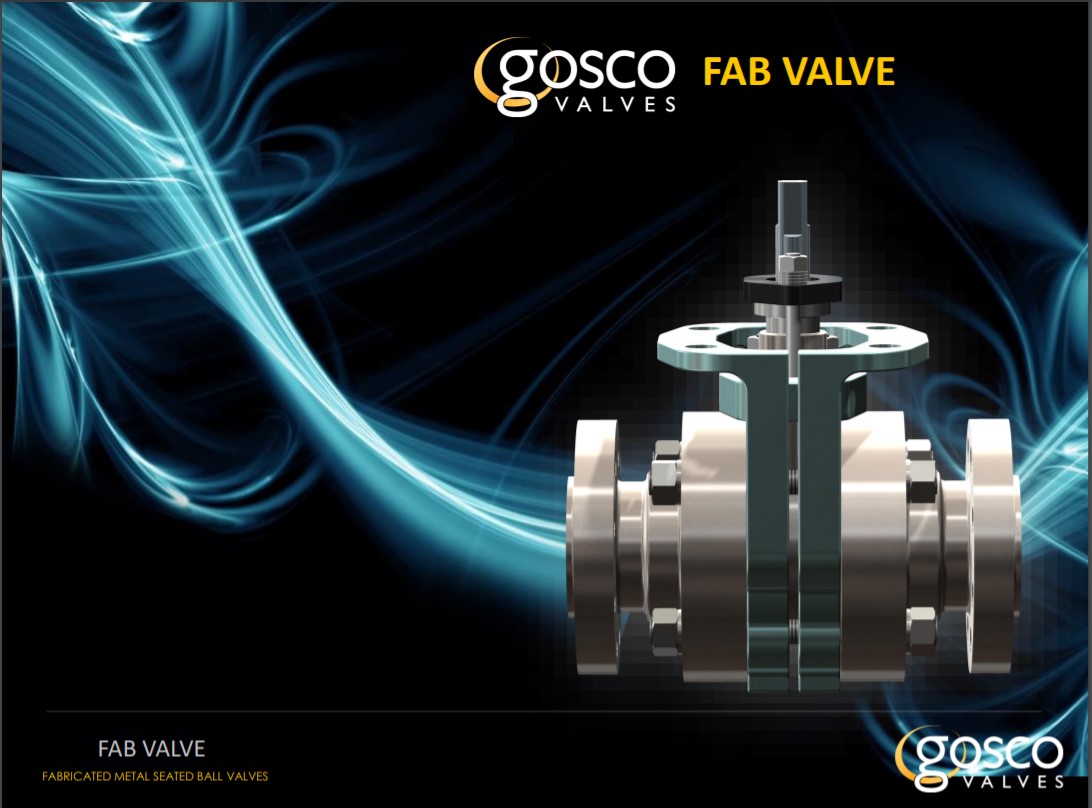 Gosco F-Class Valve Presentations