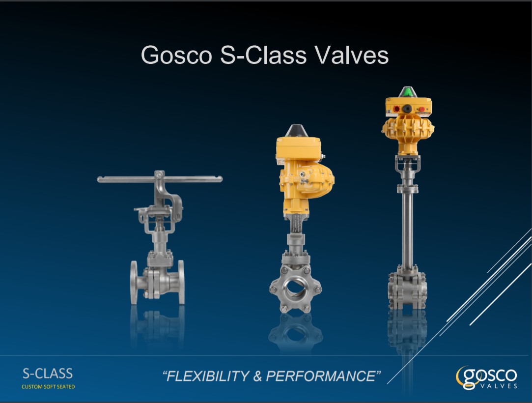 Gosco S-Class Valve Presentations 3