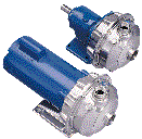 Goulds Xylem NPE NPEF Stainless Steel Pumps