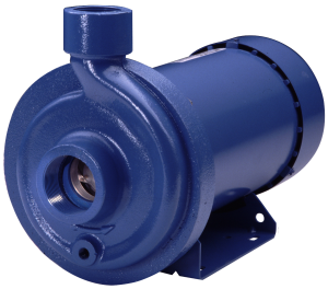 Goulds Xylem MCC Cast Iron Pumps