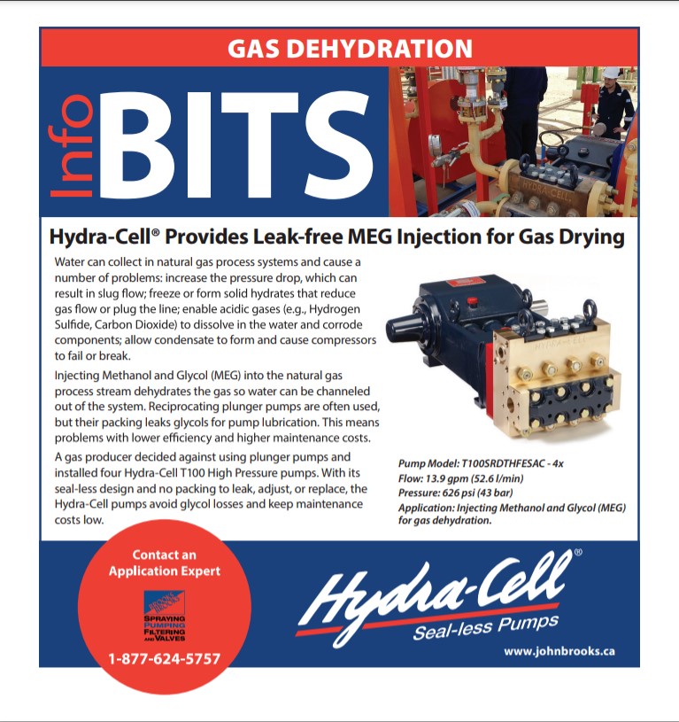 Hydra-Cell Gas Dehydration IB T100